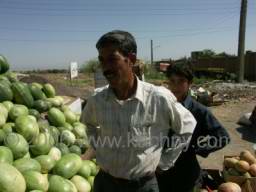 PICT7725 kupujeme melouny.jpg